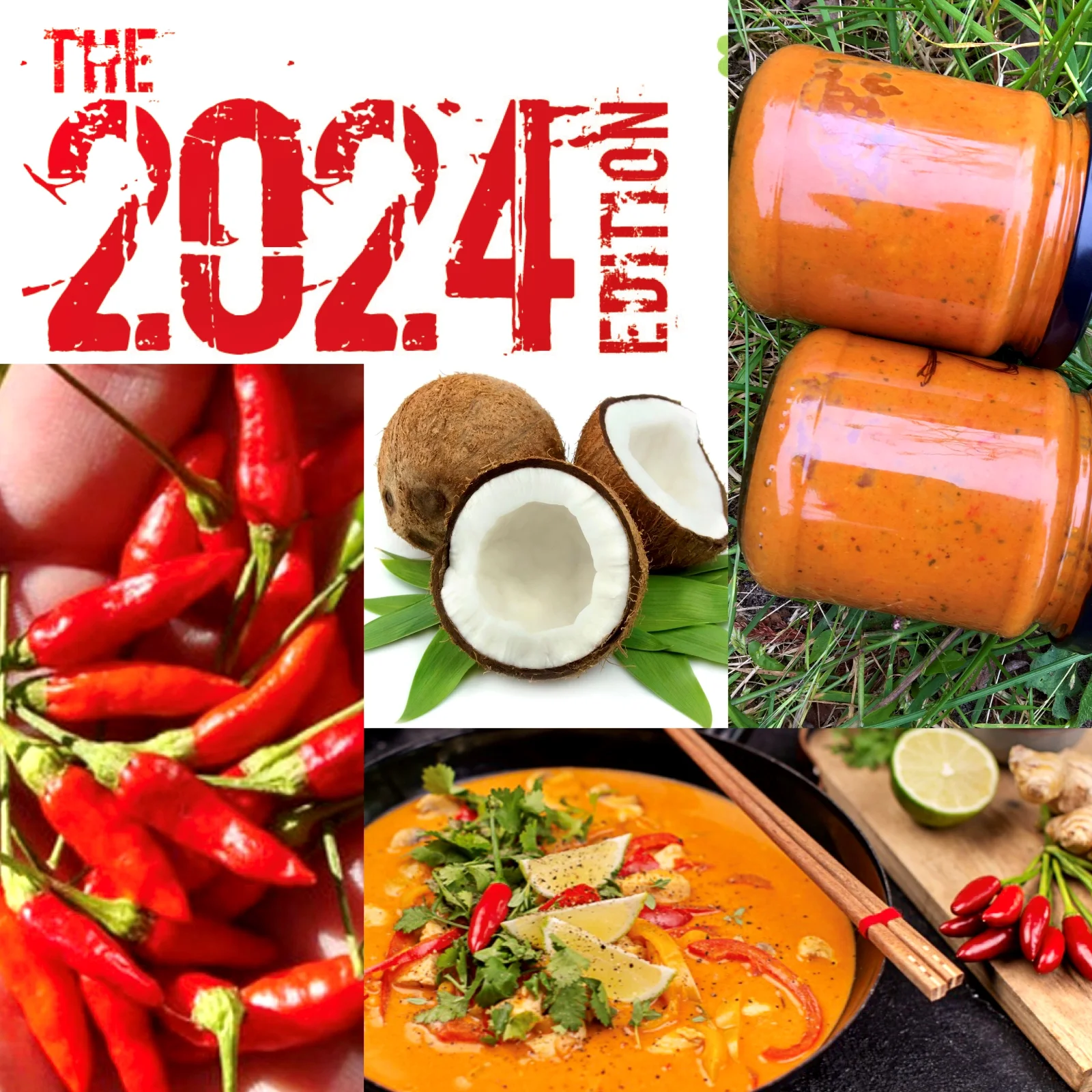 The 2024 Edition - Coconut Curry